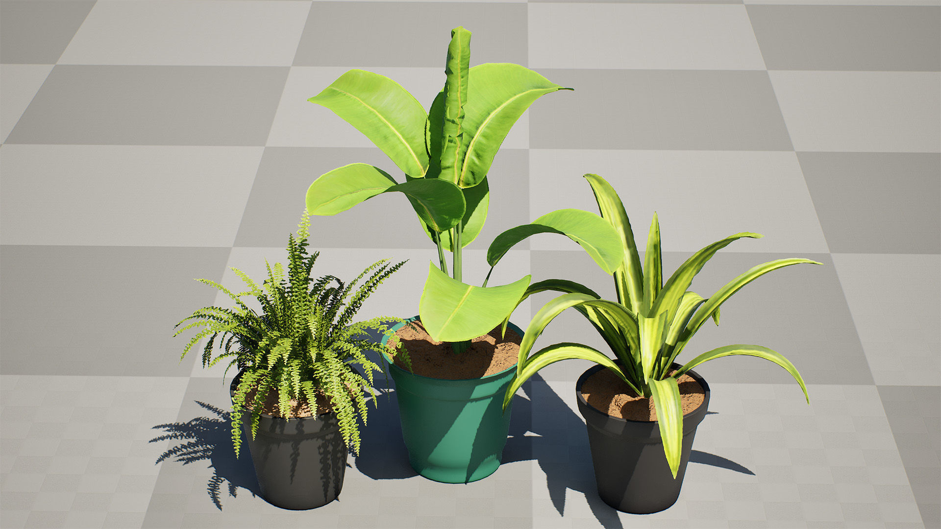 Indoor Potted Plants 3D Model Low-poly 3D model_15