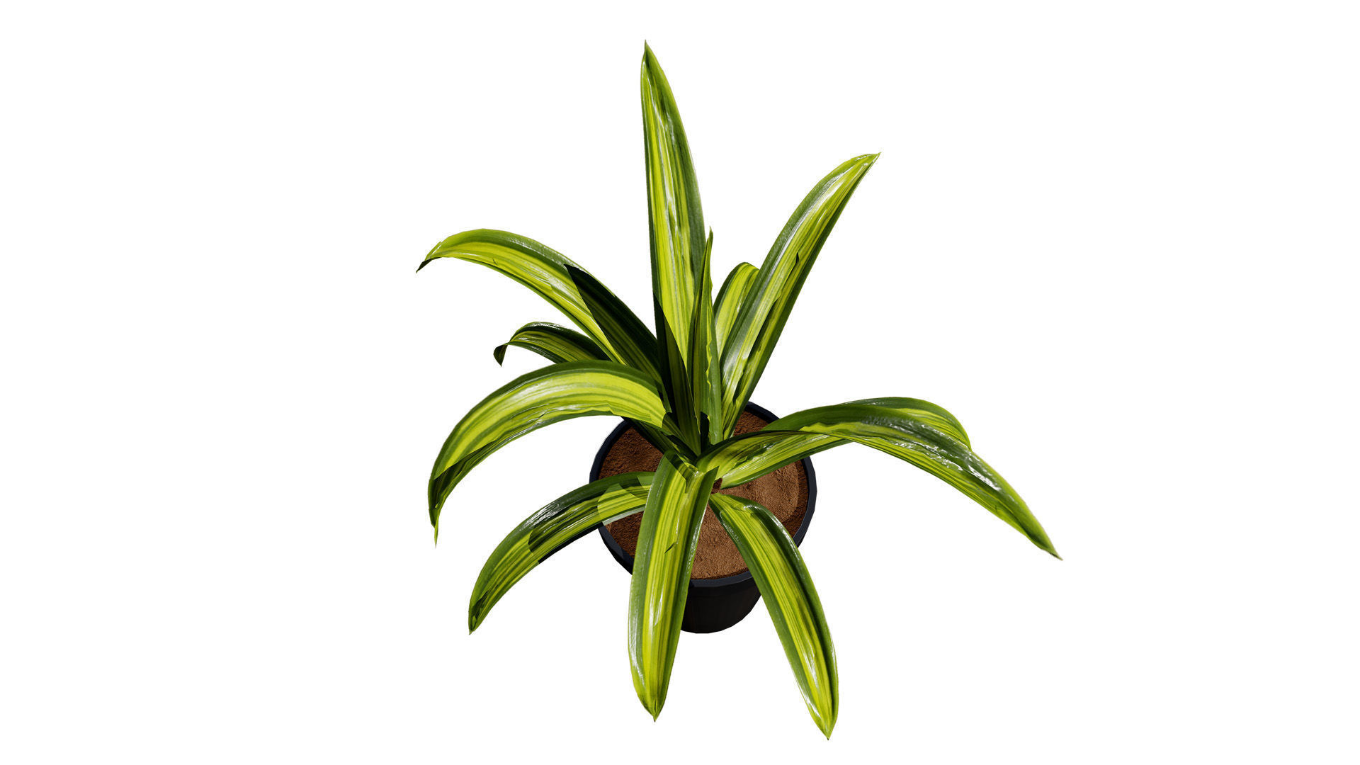 Indoor Potted Plants 3D Model Low-poly 3D model_13