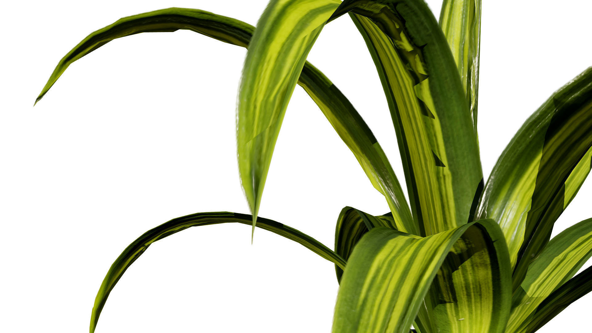 Indoor Potted Plants 3D Model Low-poly 3D model_11