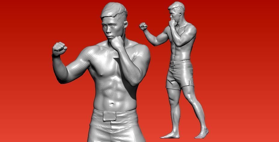 Boxing and martial arts player model - 3D print 3D print model_2