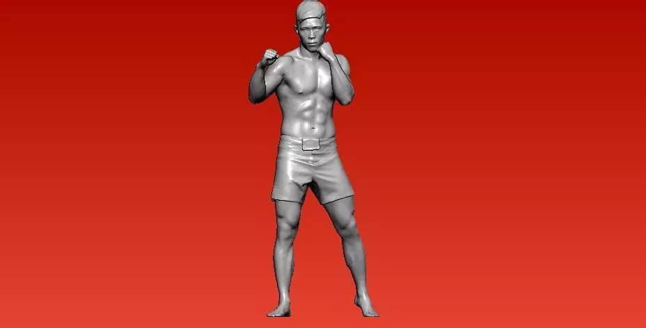 Boxing and martial arts player model - 3D print 3D print model_0