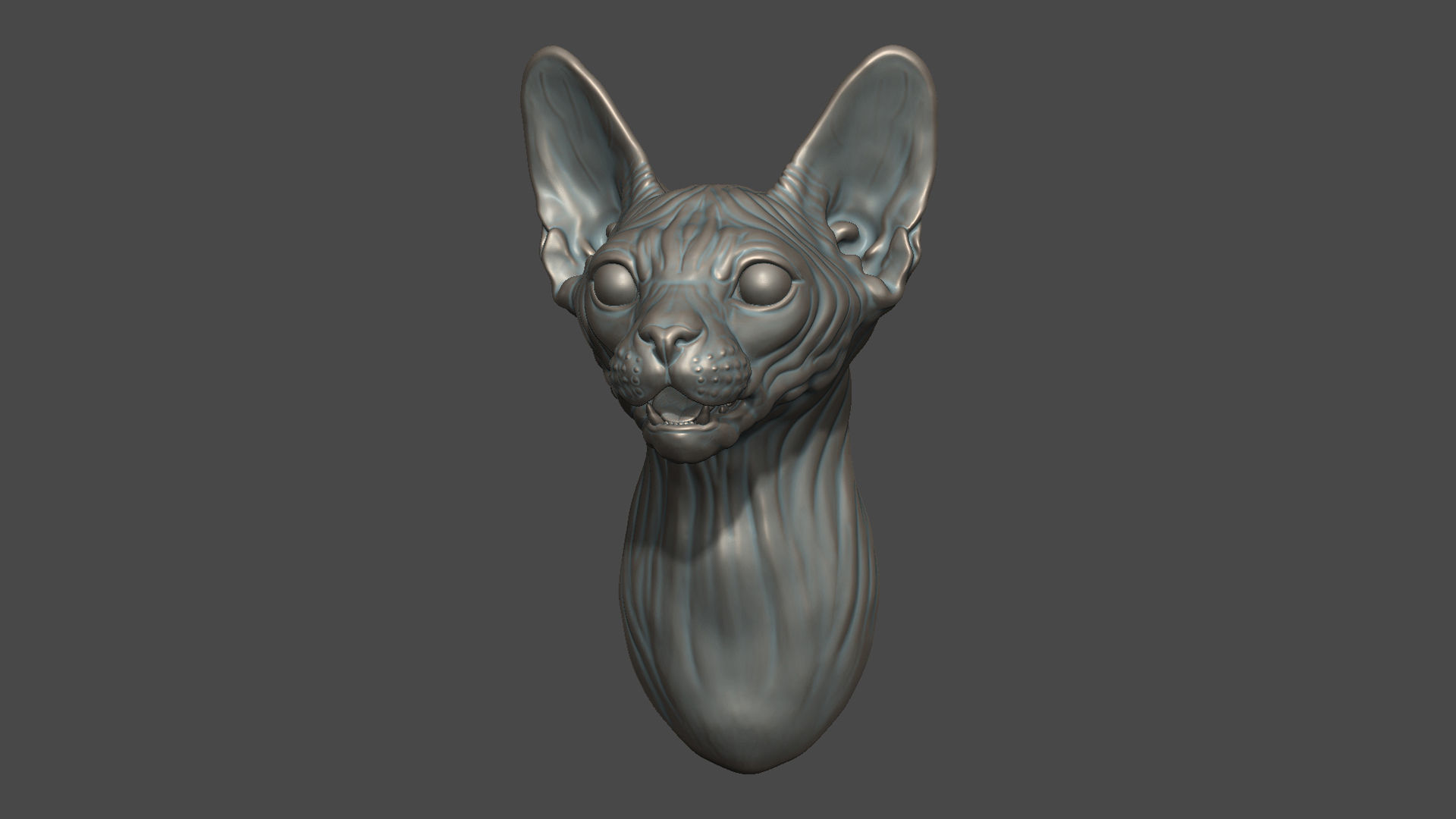Sphinx cat head 3D print model_4