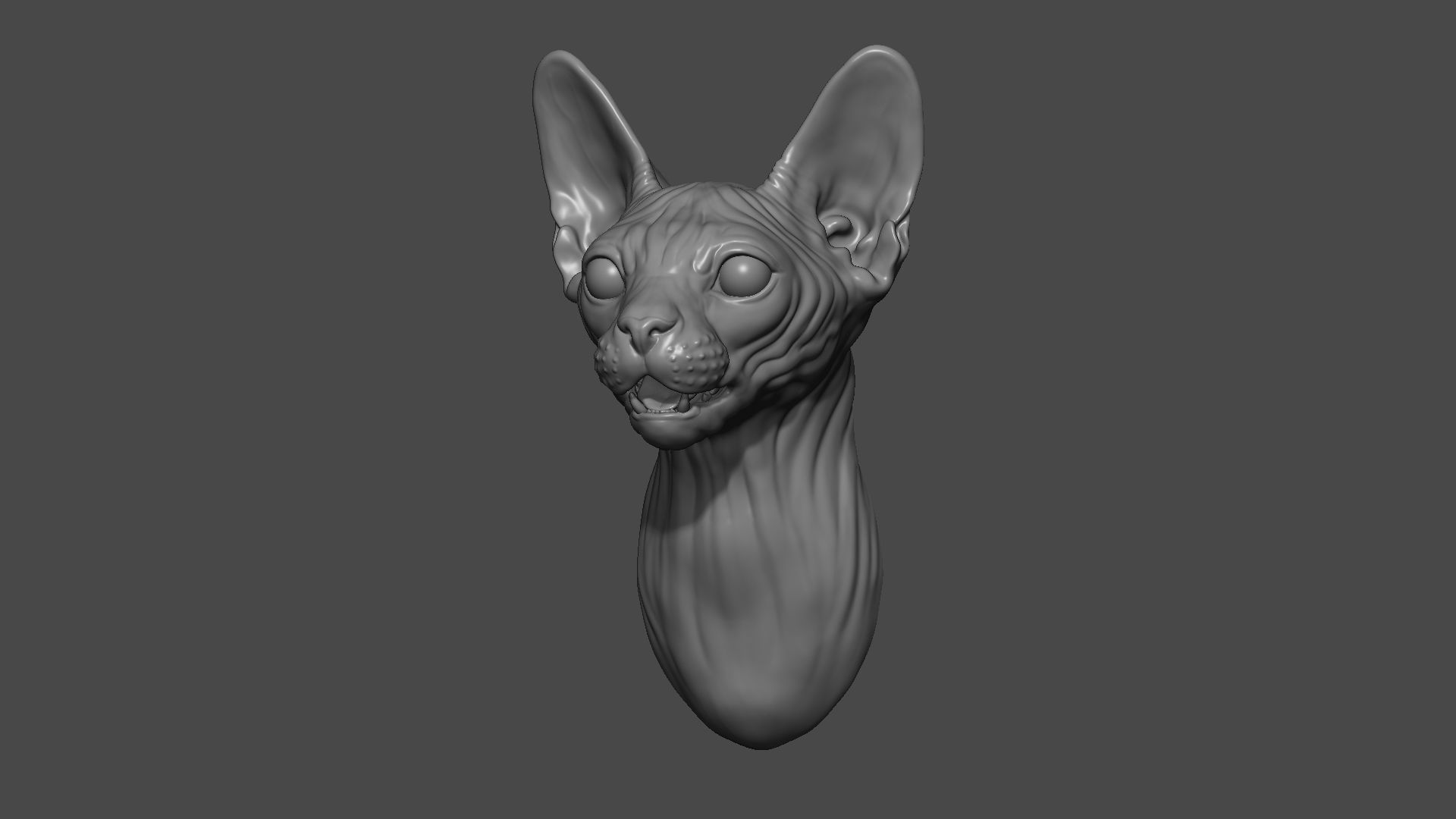 Sphinx cat head 3D print model_5