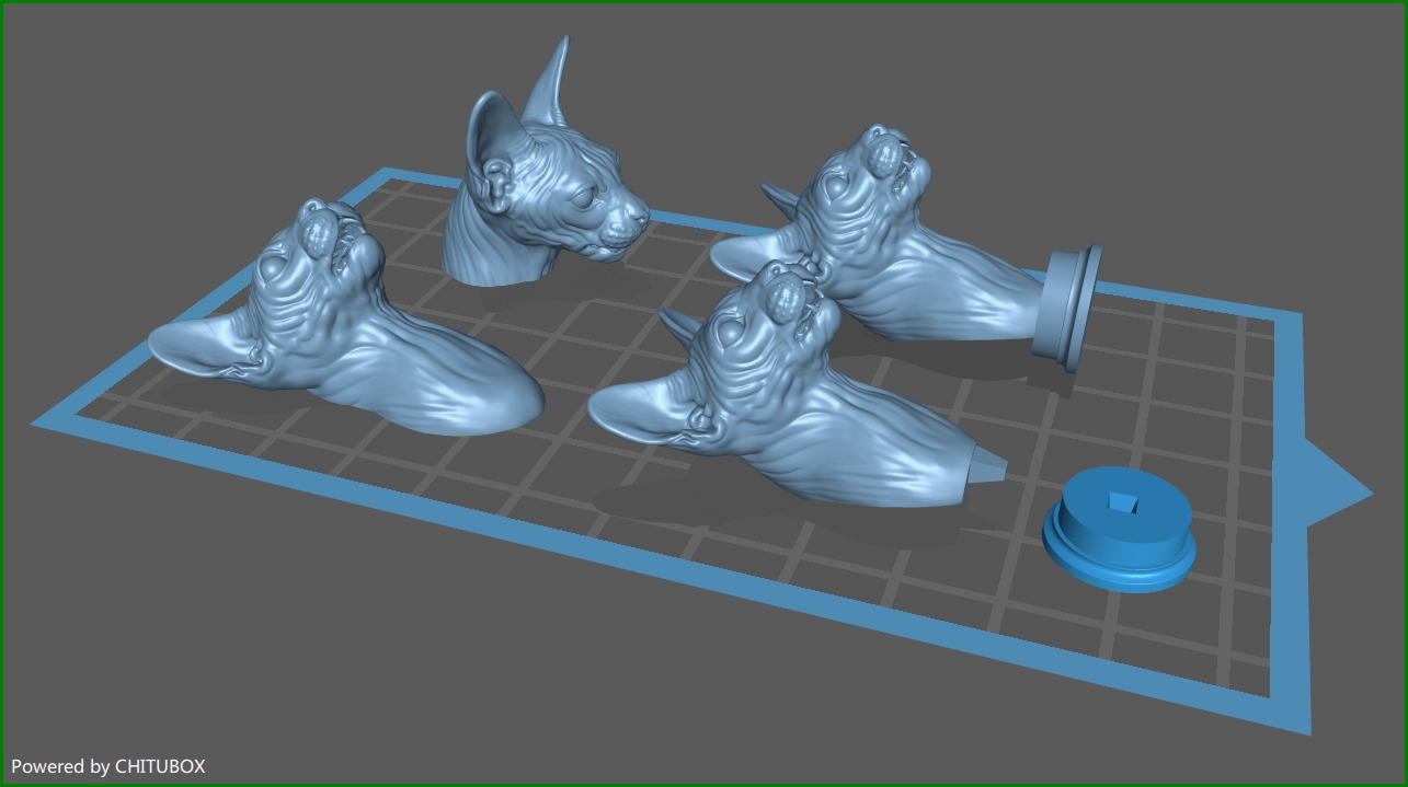 Sphinx cat head 3D print model_13