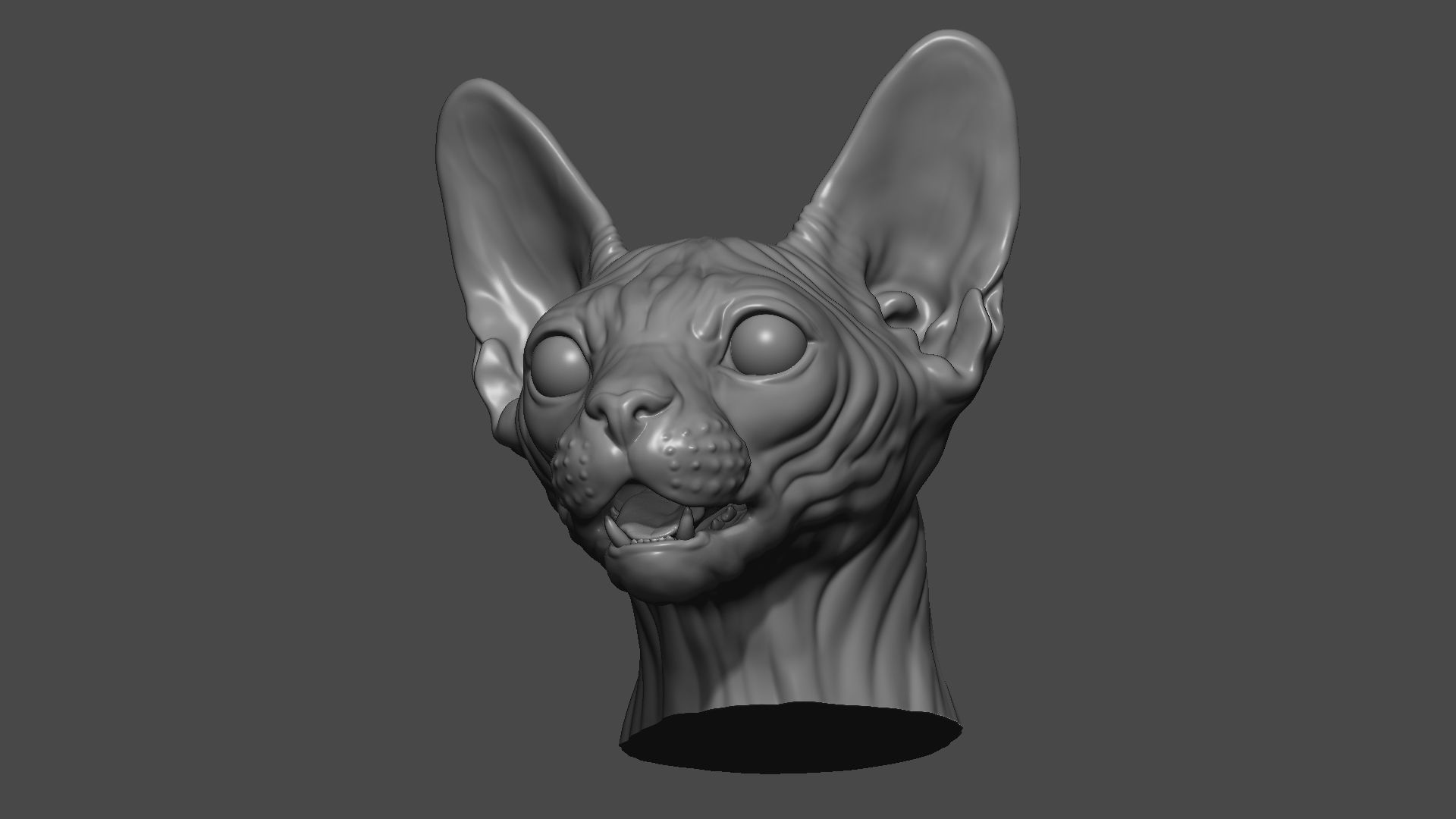 Sphinx cat head 3D print model_10