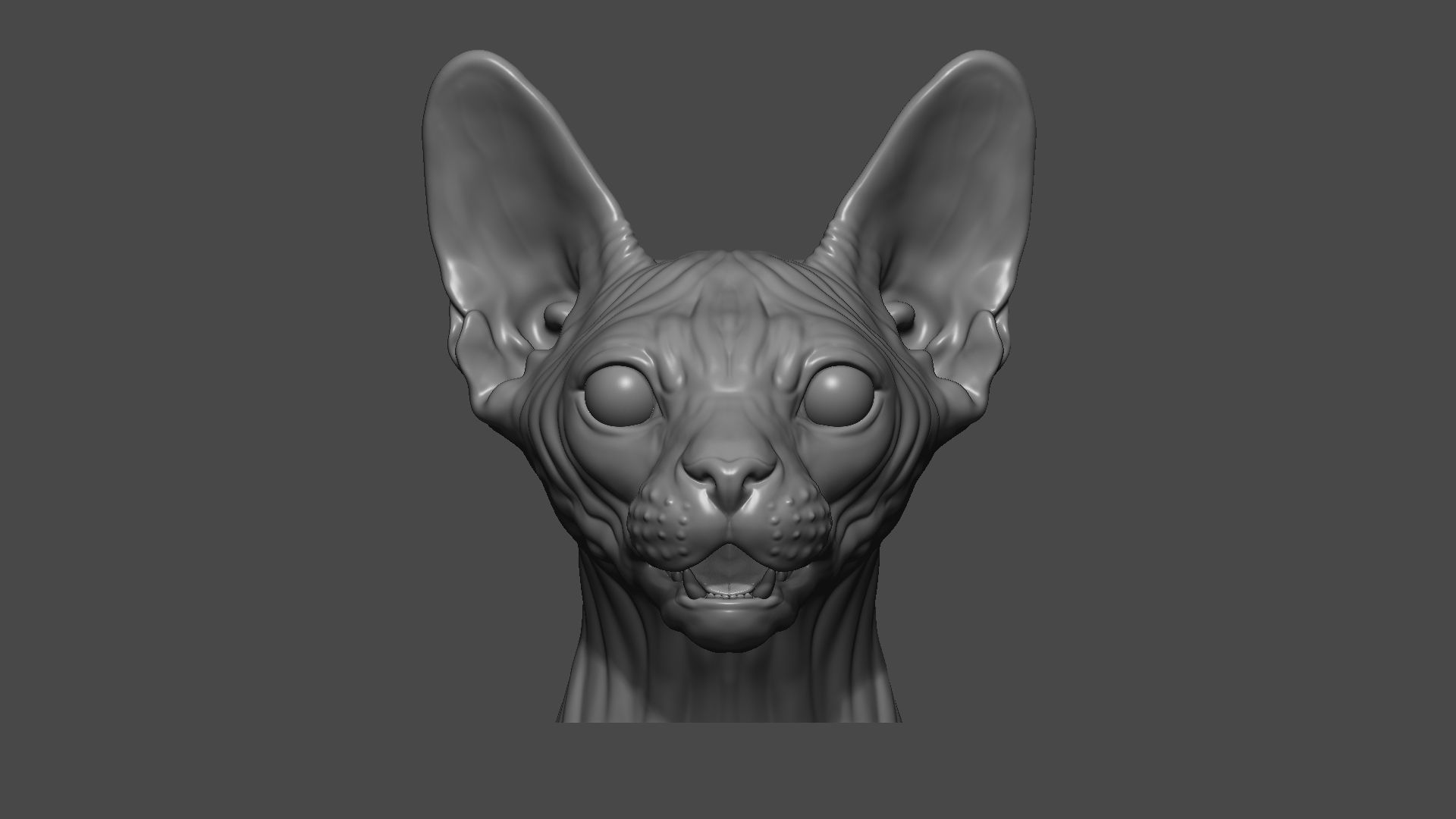 Sphinx cat head 3D print model_9