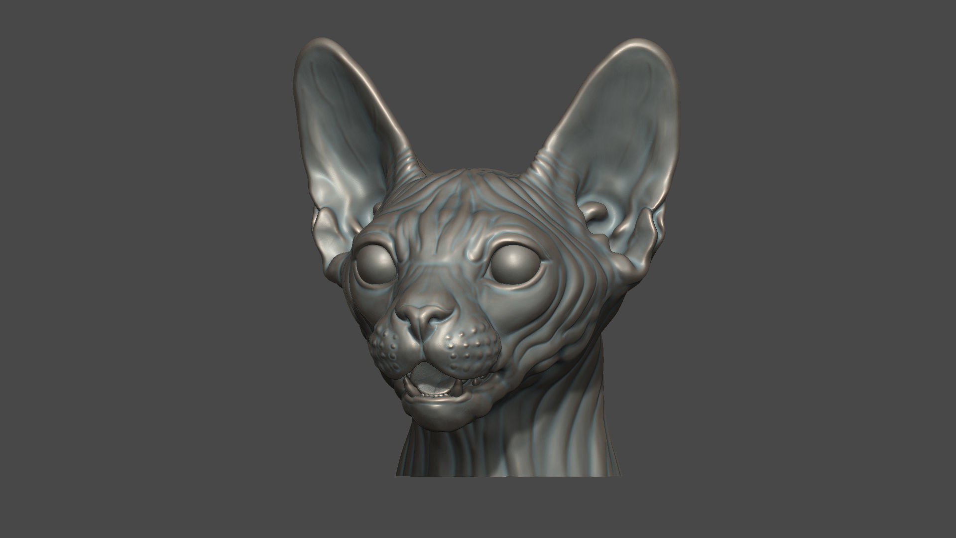 Sphinx cat head 3D print model_15