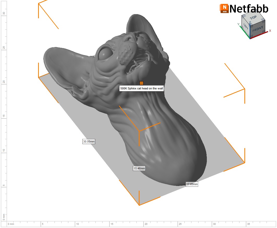 Sphinx cat head 3D print model_29
