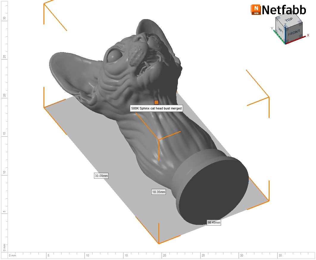 Sphinx cat head 3D print model_28