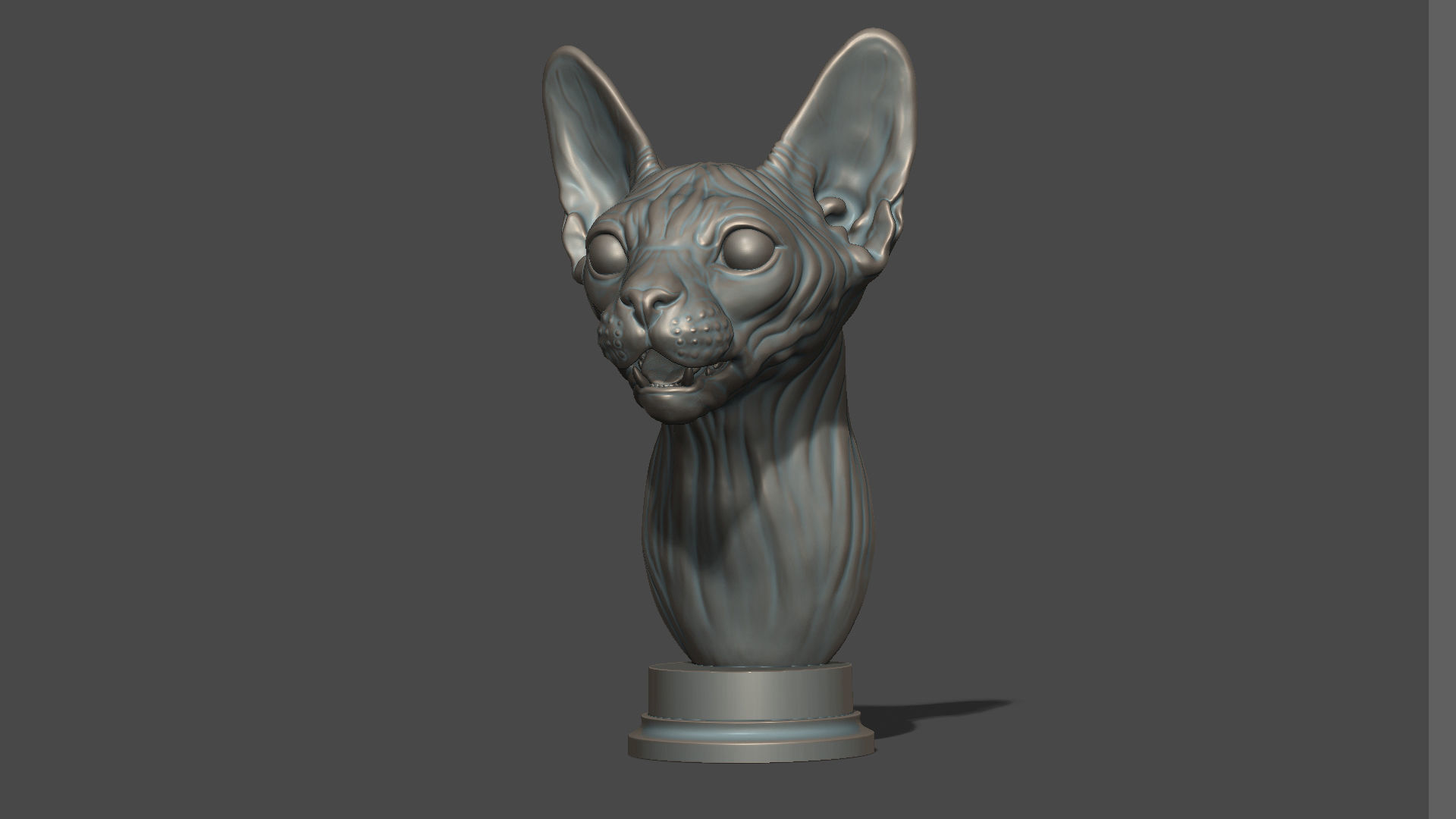 Sphinx cat head 3D print model_25