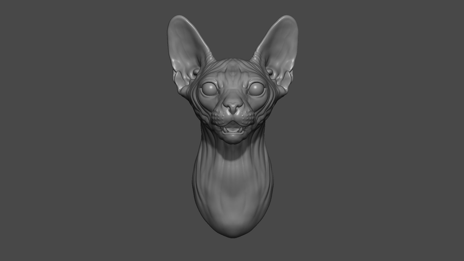 Sphinx cat head 3D print model_8
