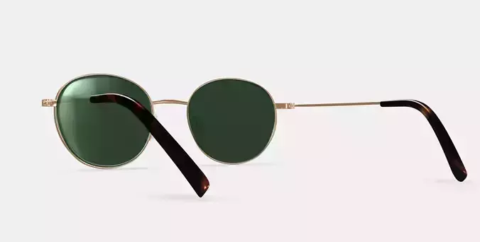 Merrick Sunglasses in Polished Gold