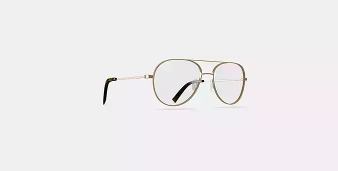 York Eyeglasses in Polished Gold