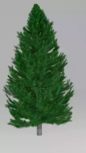 Classic Evergreen Christmas Tree Undecorated