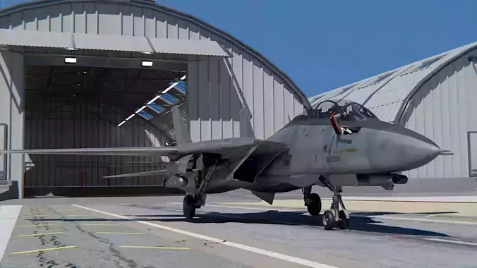 Grumman F-14 Tomcat 3D model