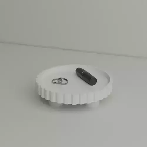 Aesthetic Tray 3D print model