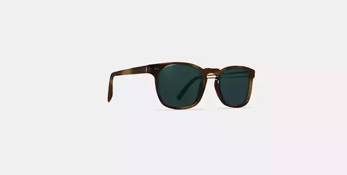 Elio Sunglasses in Black Walnut 3D model