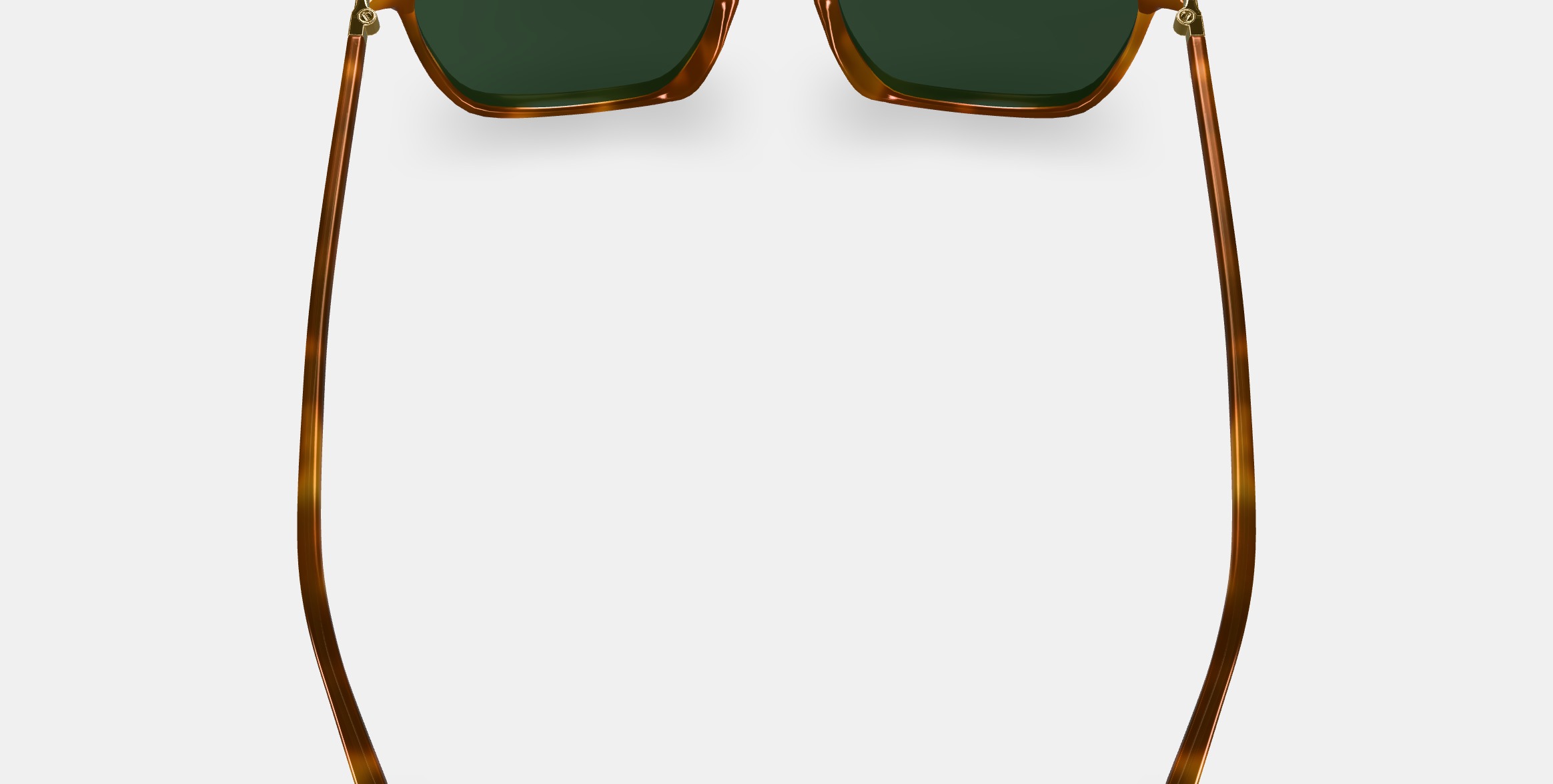 Sutton Sunglasses in Saddle Tortoise with Polished Gold 3D model_5