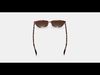 Esme Sunglasses in Sesame Tortoise 3D model_1