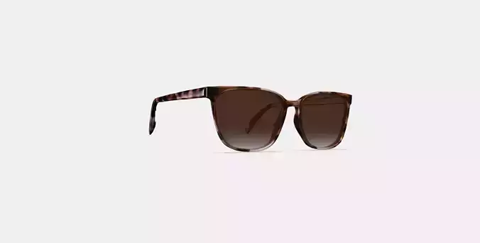 Esme Sunglasses in Sesame Tortoise 3D model