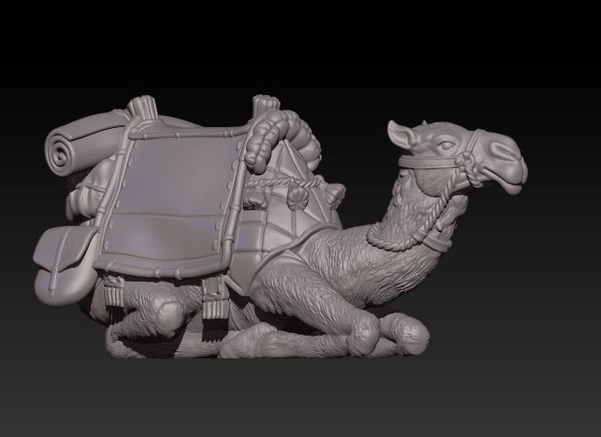 laying camel 3D print model_2