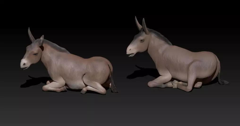 couple of lying donkey 3D print model_0