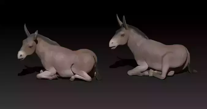 couple of lying donkey 3D print model couple of lying donkey 3D print model