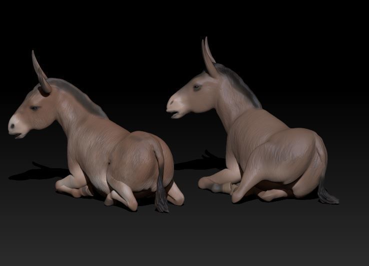 couple of lying donkey 3D print model_2