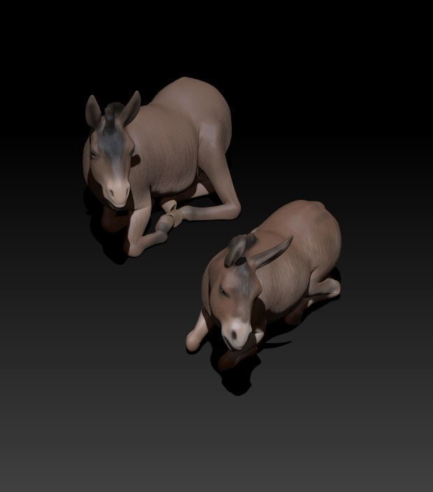 couple of lying donkey 3D print model_3
