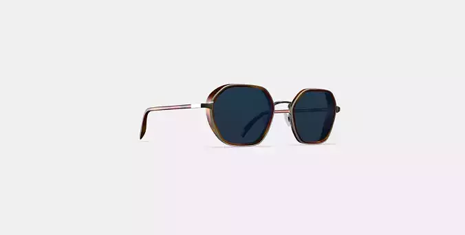 Levins Sunglasses in Rye Tortoise Matte with Antique Silver