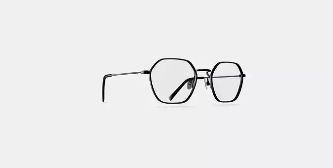 Keiko Eyeglasses in Brushed Ink 3D model