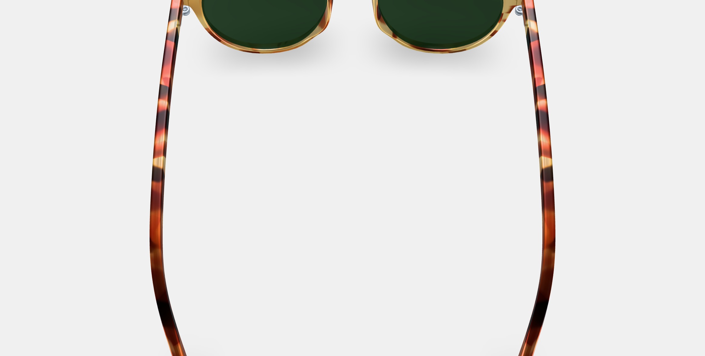 Morgan Sunglasses in Mesa Tortoise 3D model_5