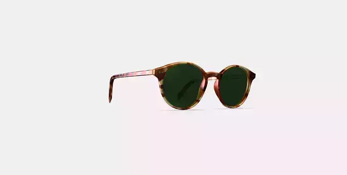 Morgan Sunglasses in Mesa Tortoise