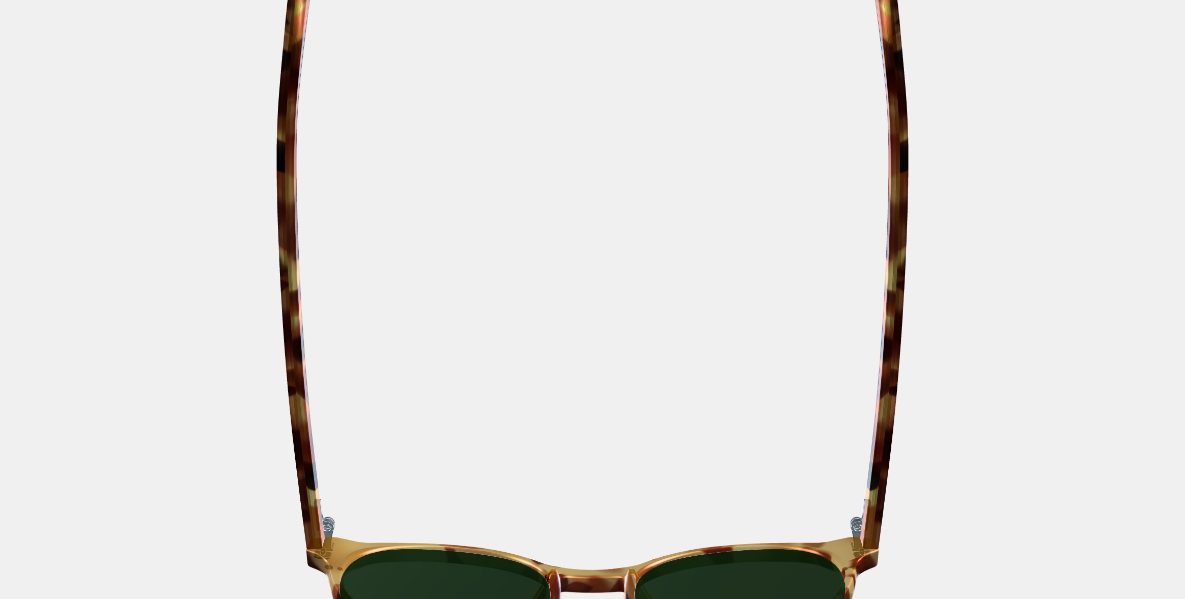 Morgan Sunglasses in Mesa Tortoise 3D model_8