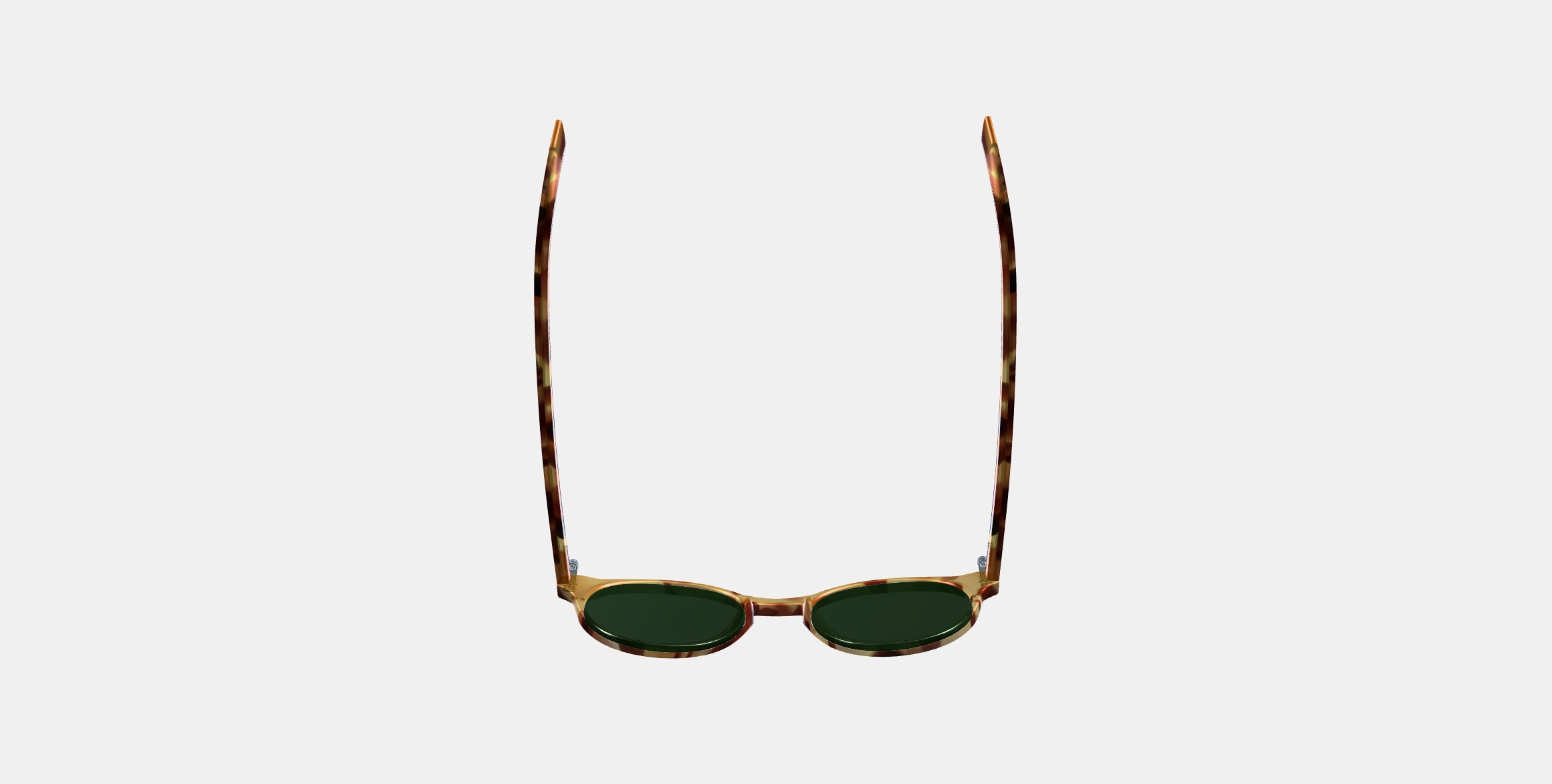 Morgan Sunglasses in Mesa Tortoise 3D model_7