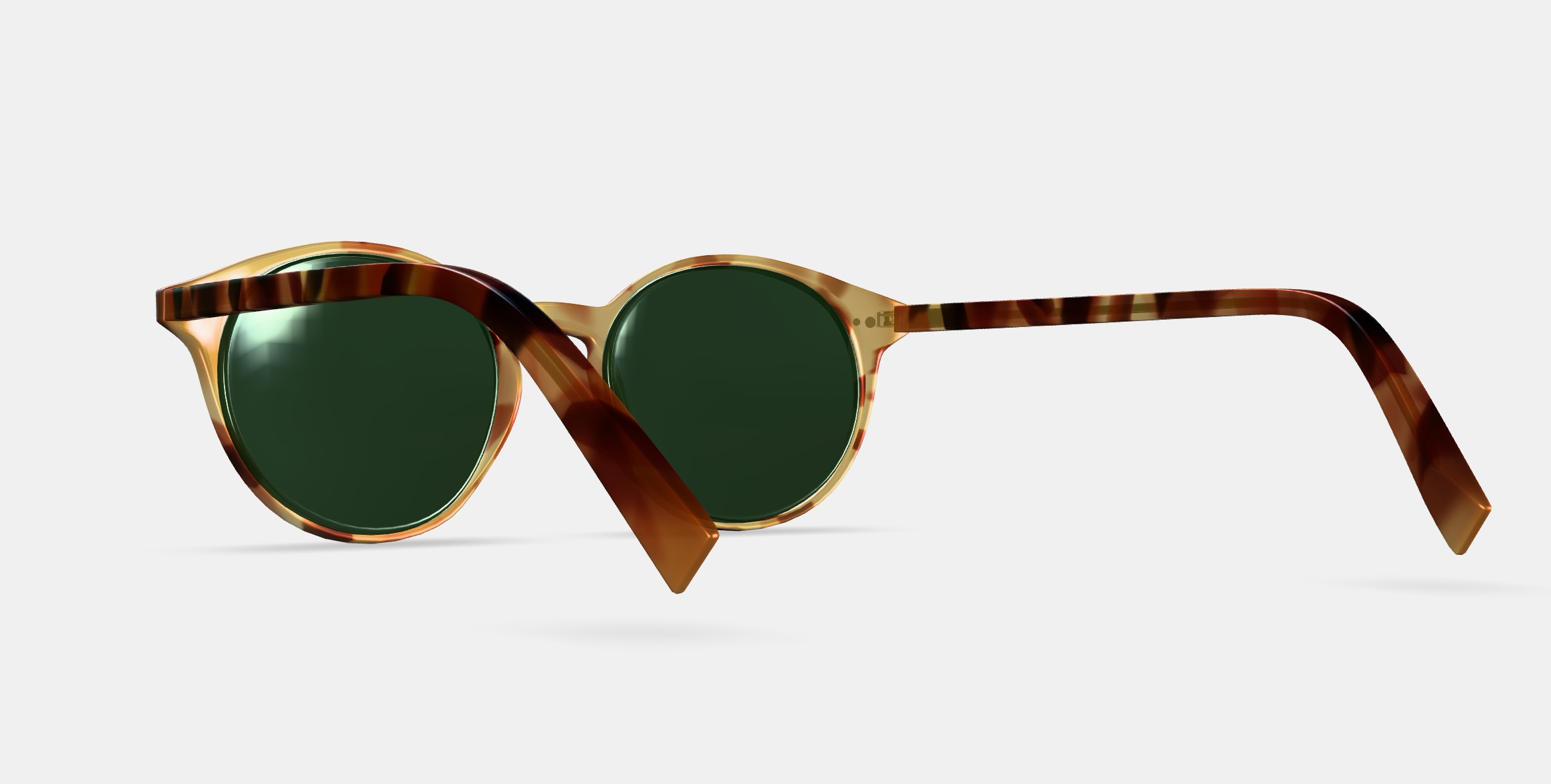 Morgan Sunglasses in Mesa Tortoise 3D model_2
