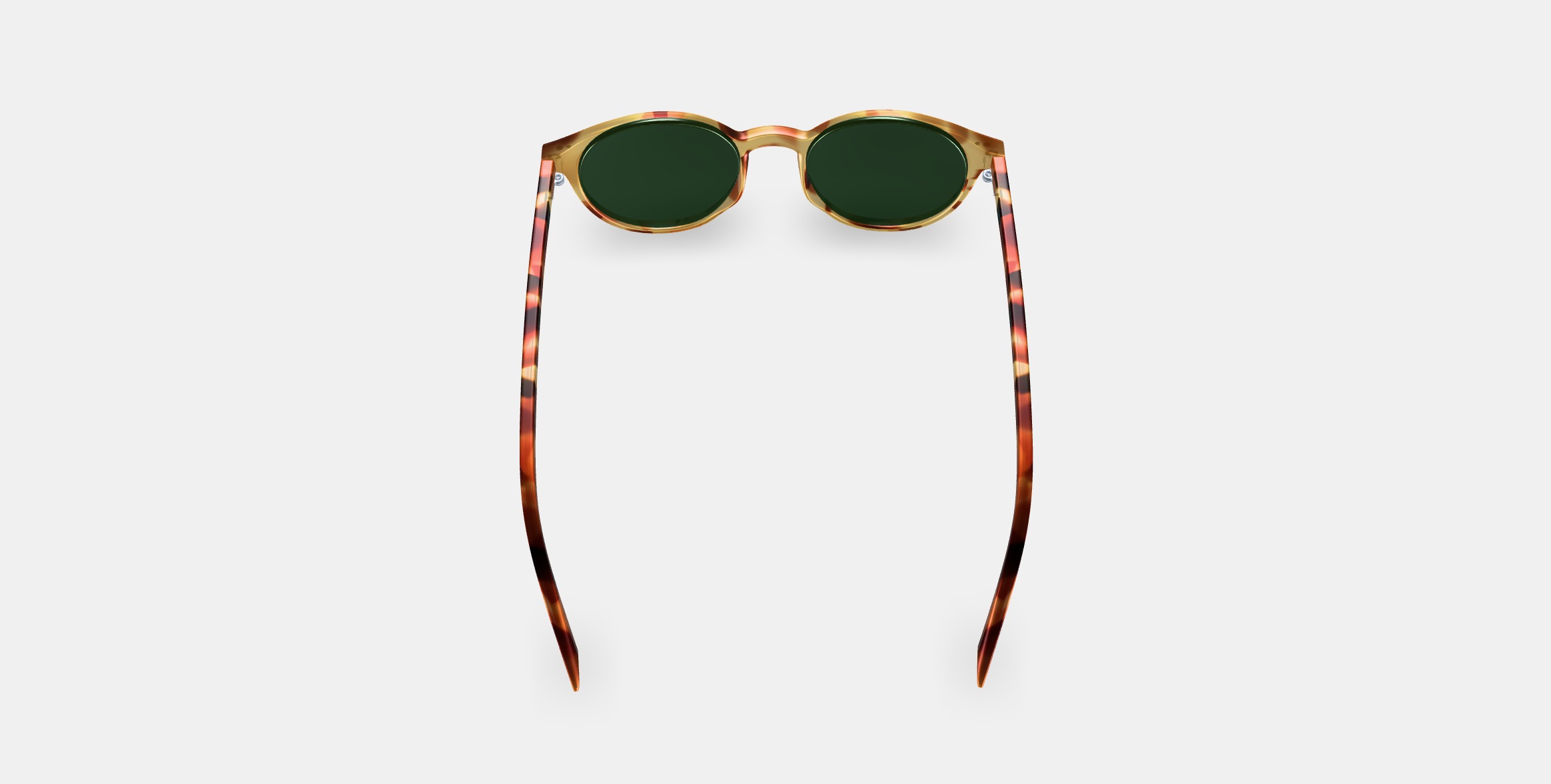 Morgan Sunglasses in Mesa Tortoise 3D model_3