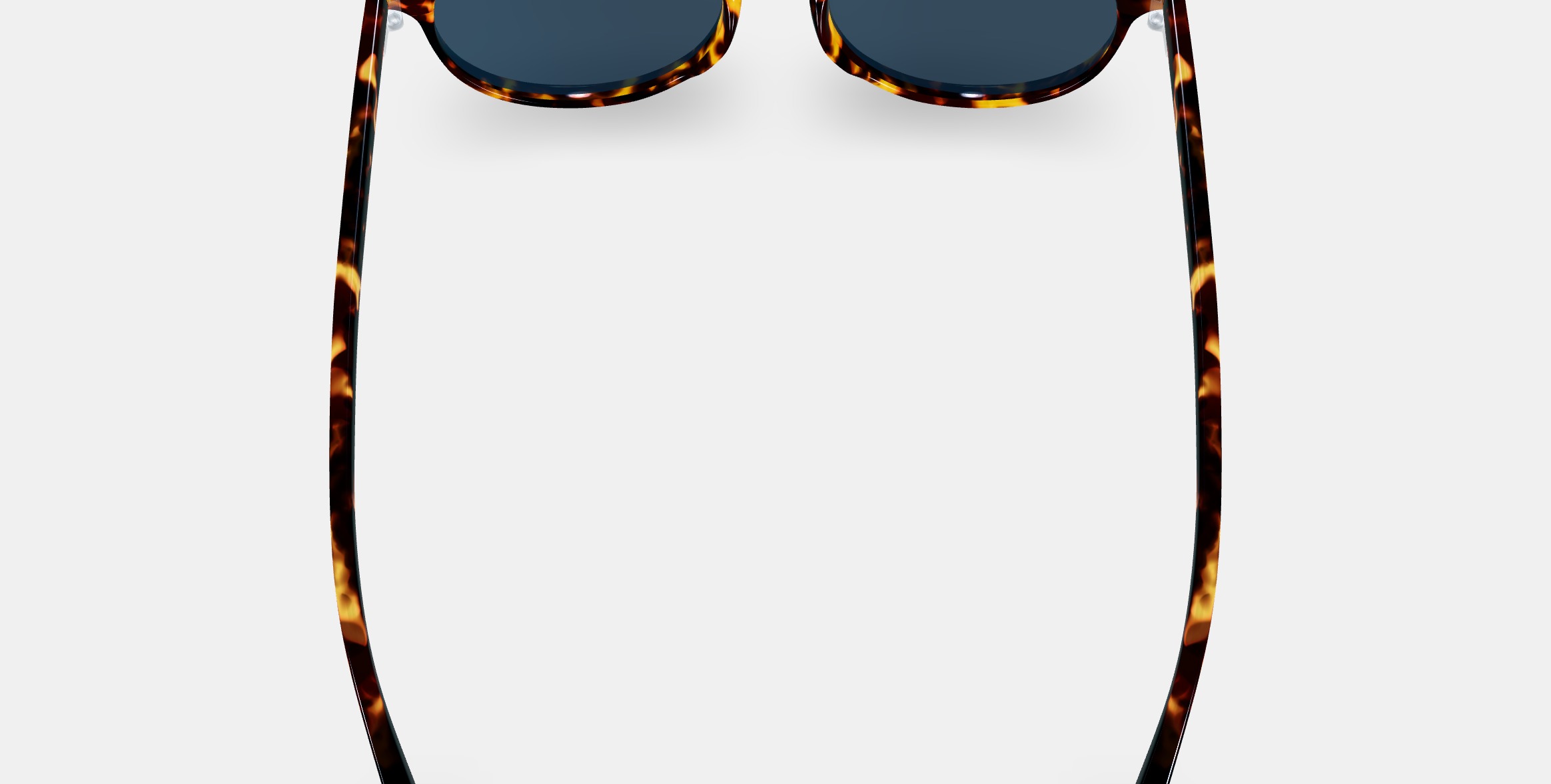 Renton Sunglasses in Black Oak Tortoise 3D model_4