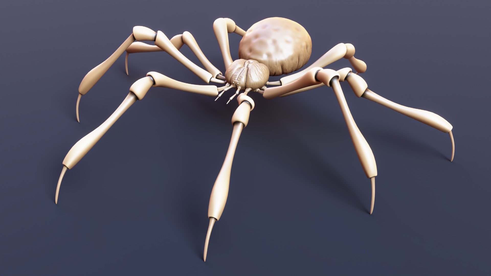 Stylized Spider Creature - High Poly Fantasy 3D Model 3D print model_4