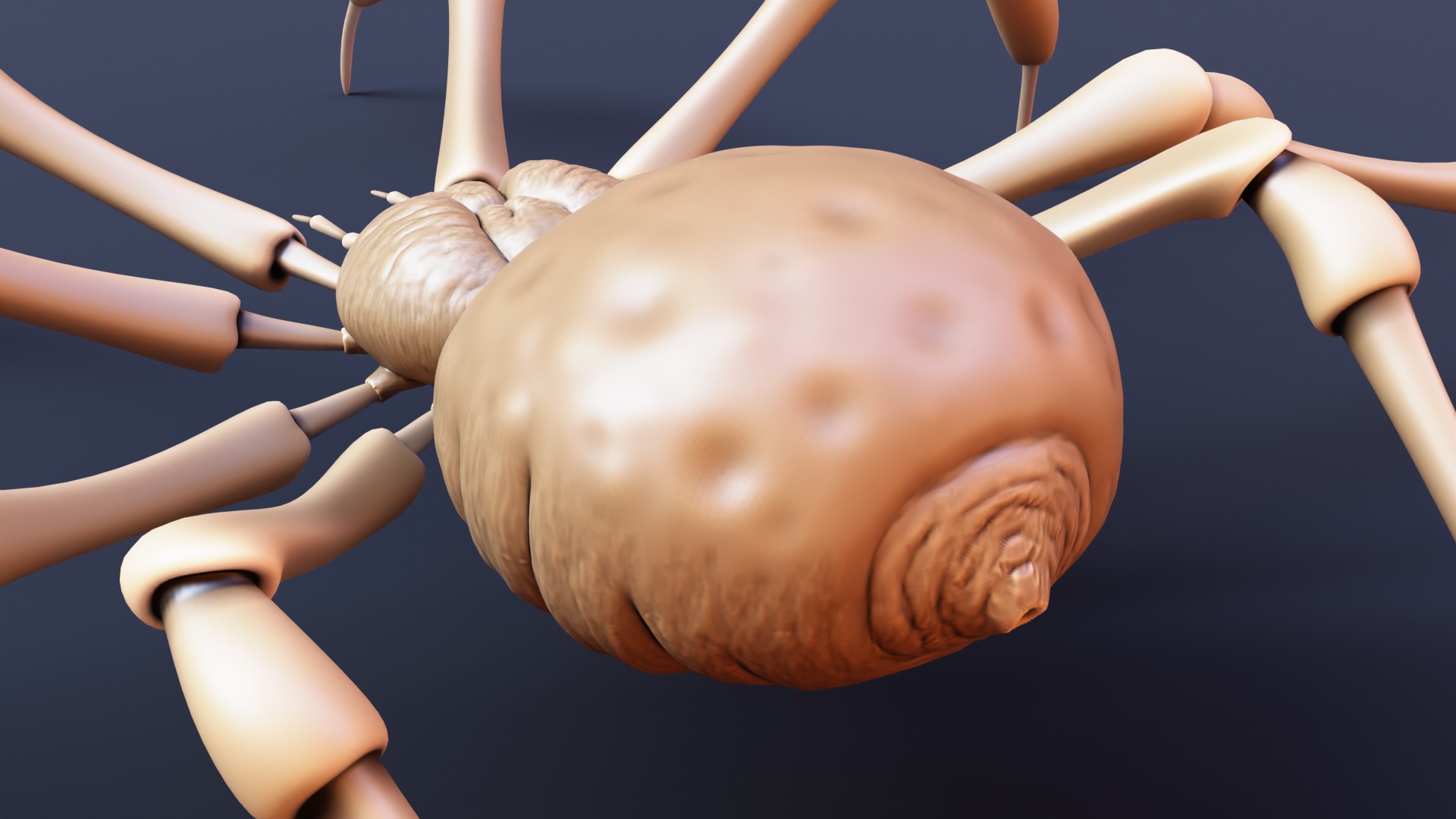 Stylized Spider Creature - High Poly Fantasy 3D Model 3D print model_3