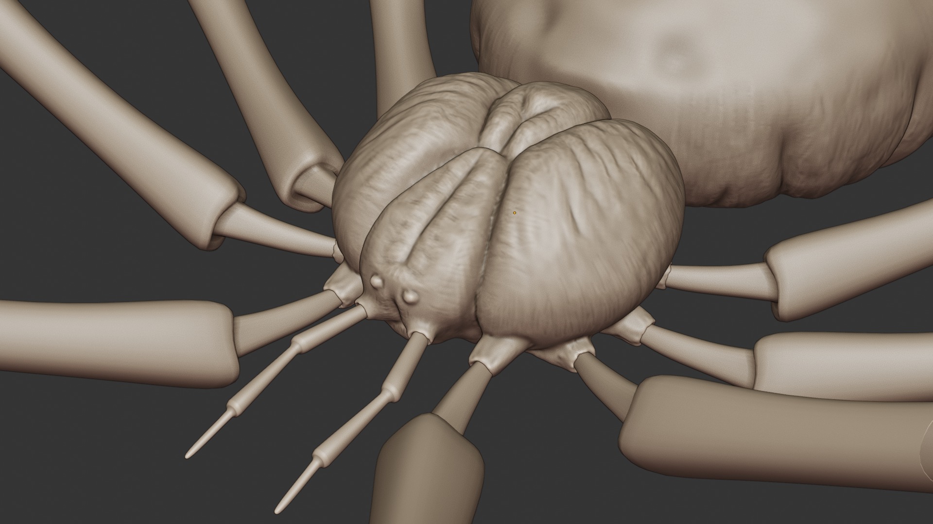 Stylized Spider Creature - High Poly Fantasy 3D Model 3D print model_14