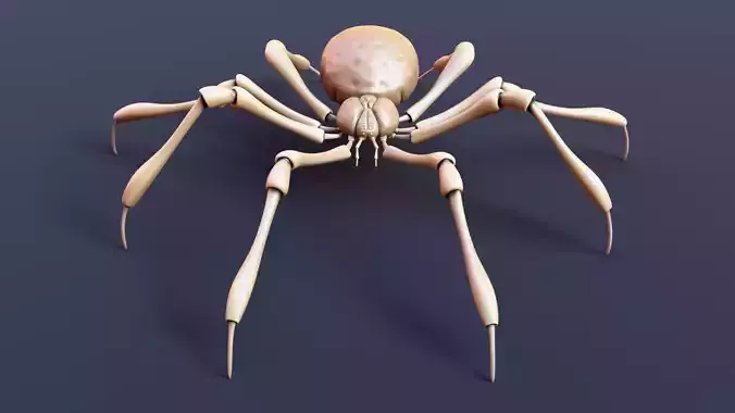 Stylized Spider Creature - High Poly Fantasy 3D Model 3D print model
