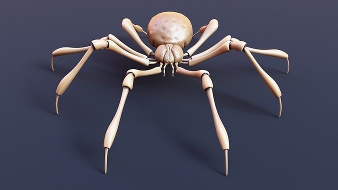 Stylized Spider Creature - High Poly Fantasy Insectoid Model 3D print model