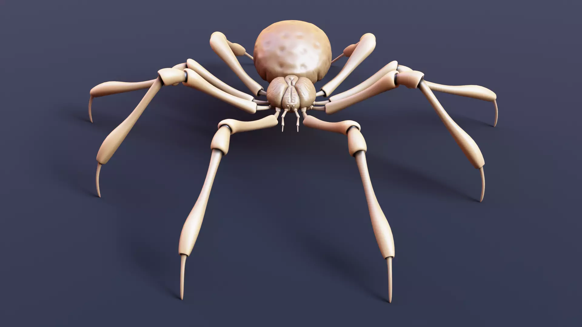 Stylized Spider Creature - High Poly Fantasy 3D Model 3D print model_0