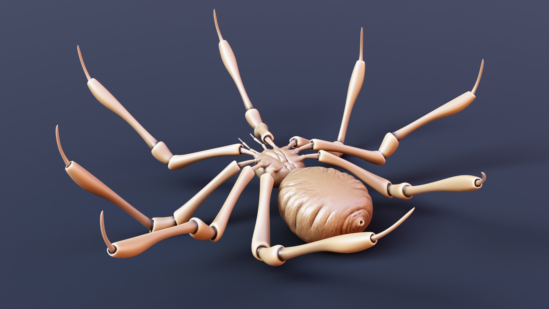 Stylized Spider Creature - High Poly Fantasy 3D Model 3D print model_7