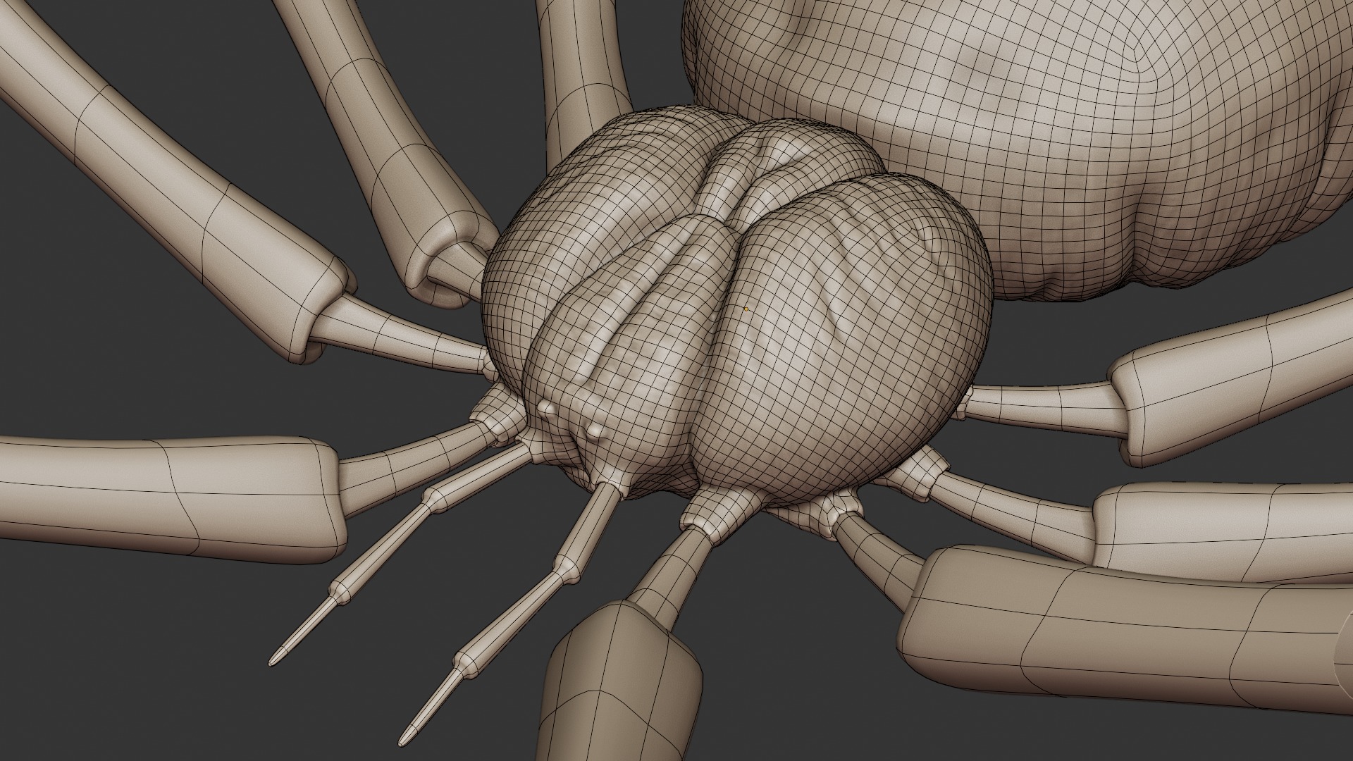 Stylized Spider Creature - High Poly Fantasy 3D Model 3D print model_15