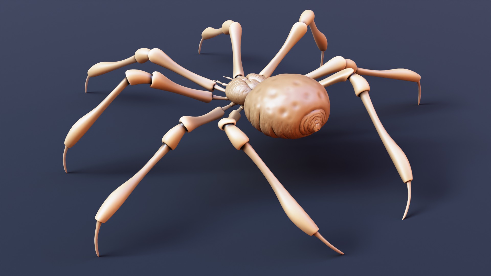 Stylized Spider Creature - High Poly Fantasy 3D Model 3D print model_5