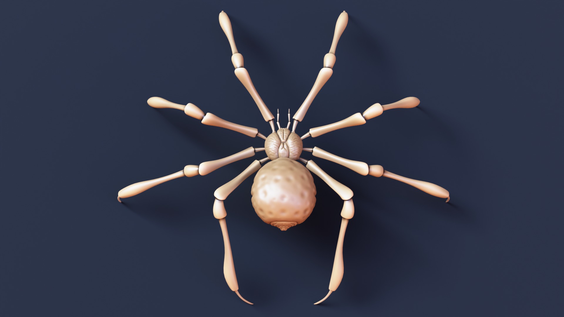 Stylized Spider Creature - High Poly Fantasy 3D Model 3D print model_6