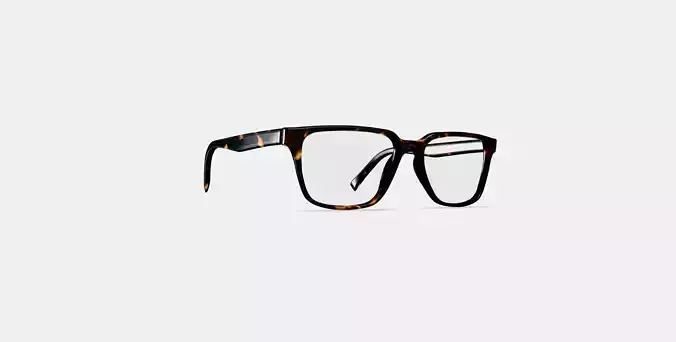 Gilbert Eyeglasses in Whiskey Tortoise 3D model