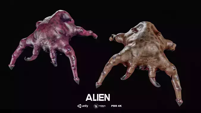 Alean 2 Types Low-poly 3D model